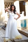 Bhanu Sri Mehra New Photos - 47 of 68