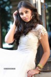 Bhanu Sri Mehra New Photos - 50 of 68
