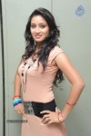 Bhanu Sri New Stills - 51 of 83
