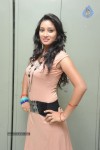 Bhanu Sri New Stills - 78 of 83