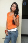 Bhanu Sri Stills - 66 of 65