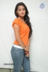 Bhanu Sri Stills - 67 of 65