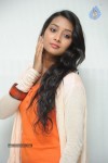 Bhanu Sri Stills - 68 of 65
