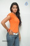Bhanu Sri Stills - 71 of 65