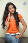 Bhanu Sri Stills - 74 of 65