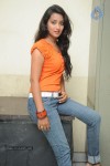 Bhanu Sri Stills - 76 of 65