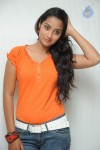 Bhanu Sri Stills - 80 of 65