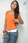 Bhanu Sri Stills - 43 of 65