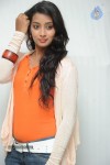 Bhanu Sri Stills - 62 of 65