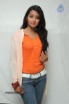 Bhanu Sri Stills - 64 of 65