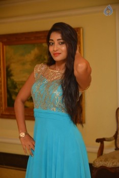 Bhanu Sri Stills - 7 of 30