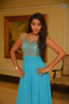 Bhanu Sri Stills - 30 of 30