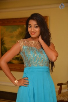 Bhanu Sri Stills - 15 of 30