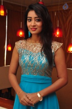 Bhanu Tripathi New Photos - 13 of 42