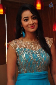 Bhanu Tripathi New Photos - 15 of 42