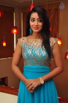 Bhanu Tripathi New Photos - 18 of 42