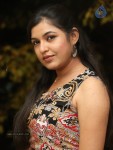 Bhavani Agarwal Latest Photos - 64 of 65