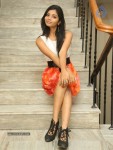 Bindhu New Photos - 2 of 106