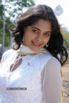 Bindu Madhavi - Prati Roju Movie - 15 of 57