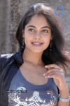 Bindu Madhavi - Prati Roju Movie - 46 of 57