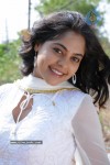 Bindu Madhavi - Prati Roju Movie - 48 of 57