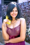 Bindu Madhavi Stills - 4 of 78