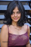 Bindu Madhavi Stills - 15 of 78