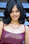 Bindu Madhavi Stills - 20 of 78