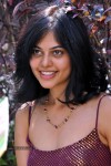 Bindu Madhavi Stills - 65 of 78