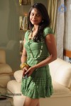 Bindu Madhavi Hot Pics - 69 of 69