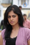 Bindu Madhavi Latest Stills - 11 of 50