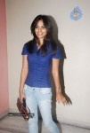 Bindu Madhavi  New Gallery - 5 of 36