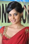 Bindu Madhavi New Stills - 7 of 32