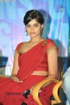 Bindu Madhavi New Stills - 16 of 32