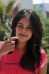 Bindu Madhavi Photo Stills  - 17 of 39