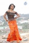 Bindu Madhavi Stills - 3 of 27