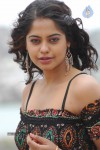 Bindu Madhavi Stills - 9 of 27