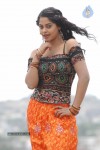 Bindu Madhavi Stills - 18 of 27