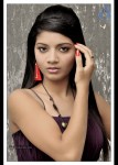 Bindu New Stills - 4 of 9