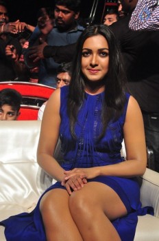 Catherine at Sarrainodu Blockbuster Function - 11 of 33