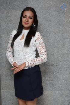 Catherine Tresa at Sarrainodu SM - 8 of 41