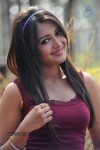 Catherine Tresa New Hot Stills - 28 of 93