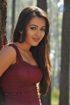 Catherine Tresa New Hot Stills - 103 of 93