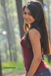 Catherine Tresa New Hot Stills - 50 of 93