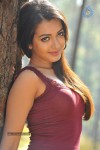 Catherine Tresa New Hot Stills - 53 of 93