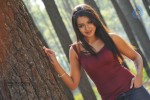 Catherine Tresa New Hot Stills - 55 of 93