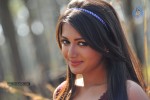 Catherine Tresa New Hot Stills - 64 of 93