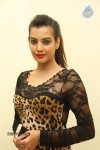 Deeksha Panth New Pics - 87 of 88
