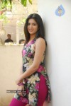 Deeksha Seth New Gallery - 31 of 64