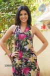 Deeksha Seth New Gallery - 35 of 64